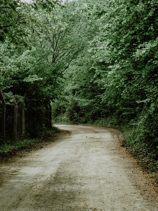 the dirt road has fence posts on both sides