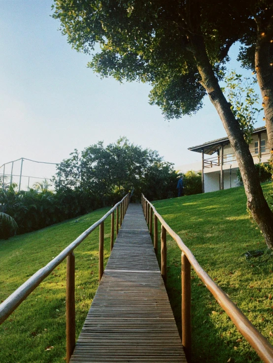 a wooden walkway on the side of a lush green hillside