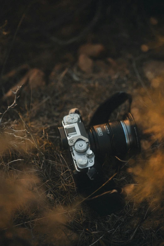 an old camera left in the grass