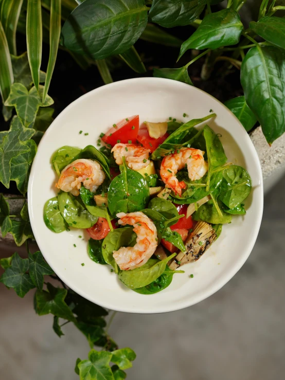 a white bowl of salad with shrimp and peppers