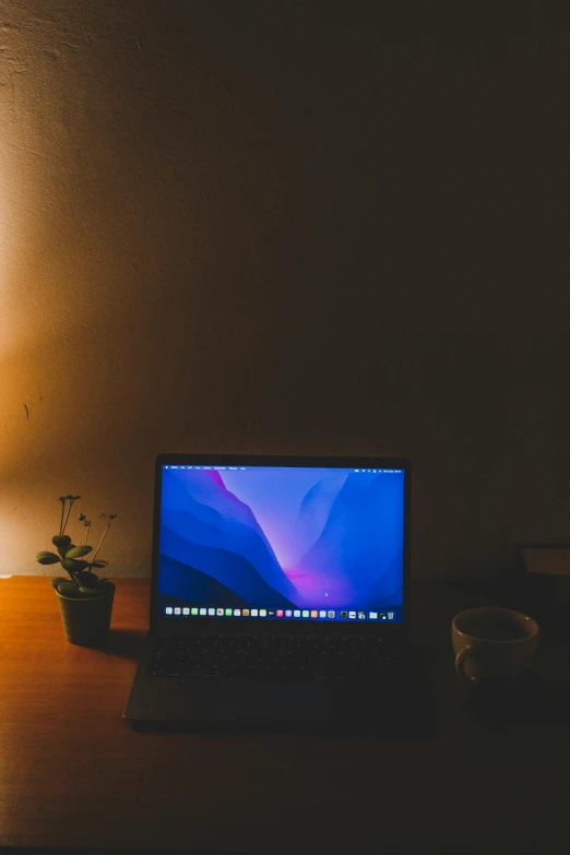 the laptop is sitting on the desk by the small potted plant