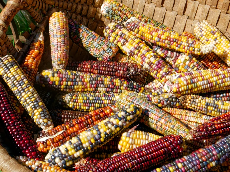 a basket filled with lots of colorful vegetables