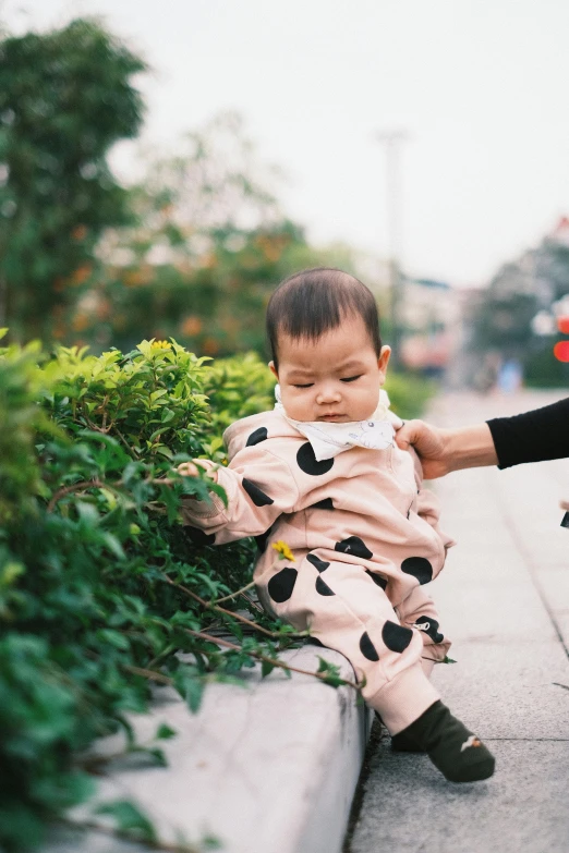 the baby is wearing a cow outfit while sitting next to the bushes