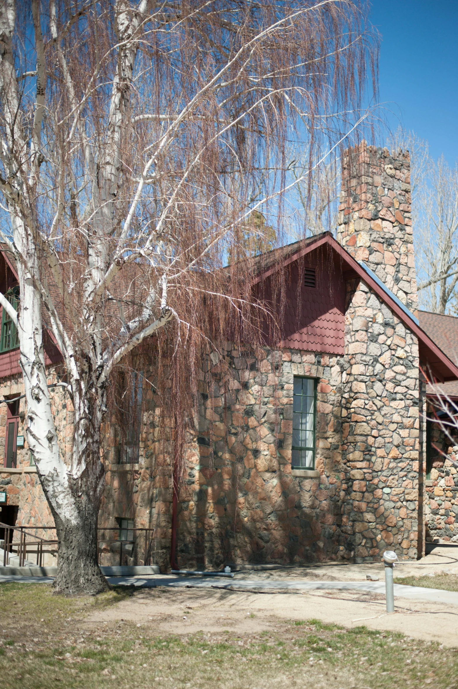 tree next to house in front of a stone building