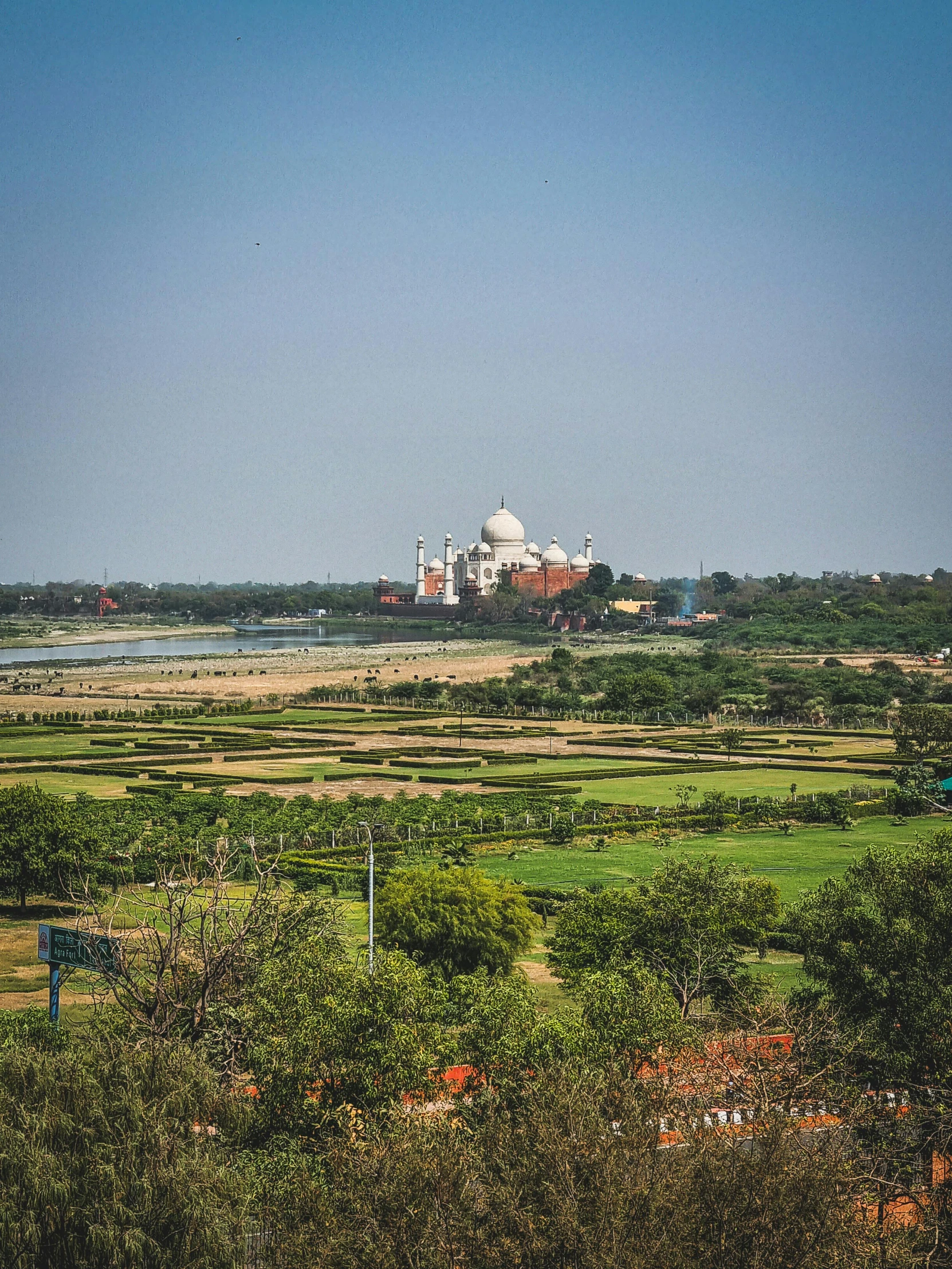 the green fields are filled with trees and flowers