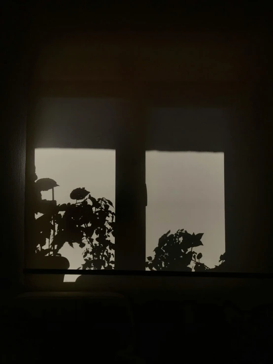 a window view looking out onto a plant and sky