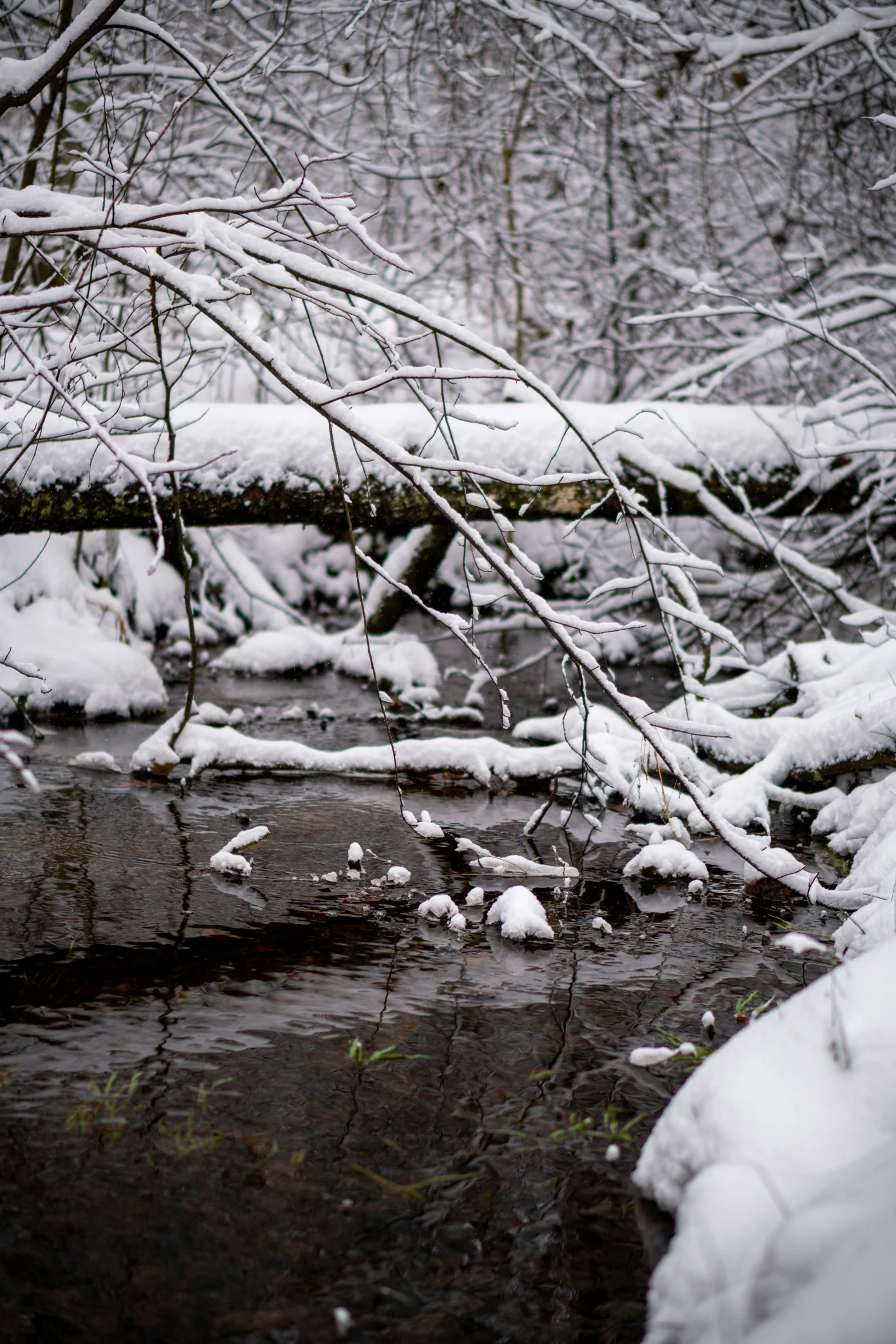 the river is full of snow while it has fallen over