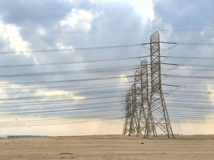 a lone white horse is near some power lines