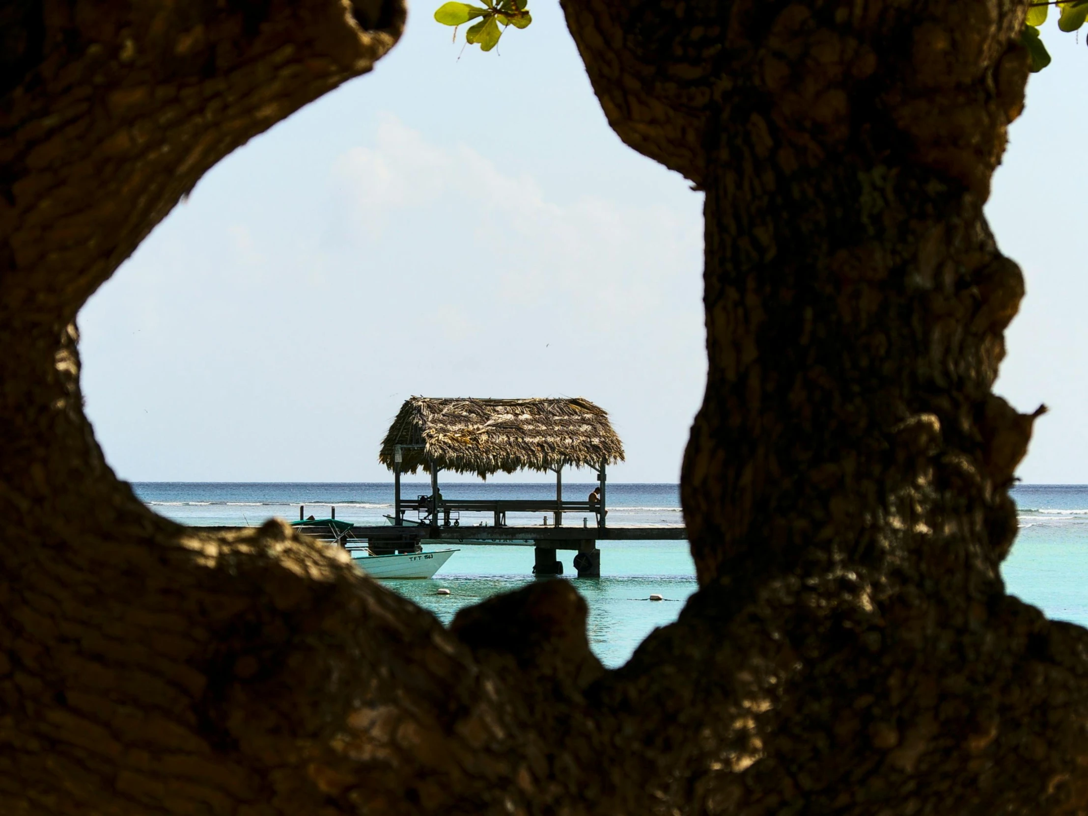 a dock is shown, with a hut in the middle of it