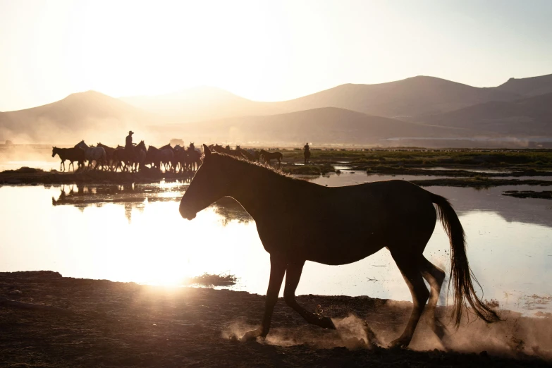 a man leading a horse across a river