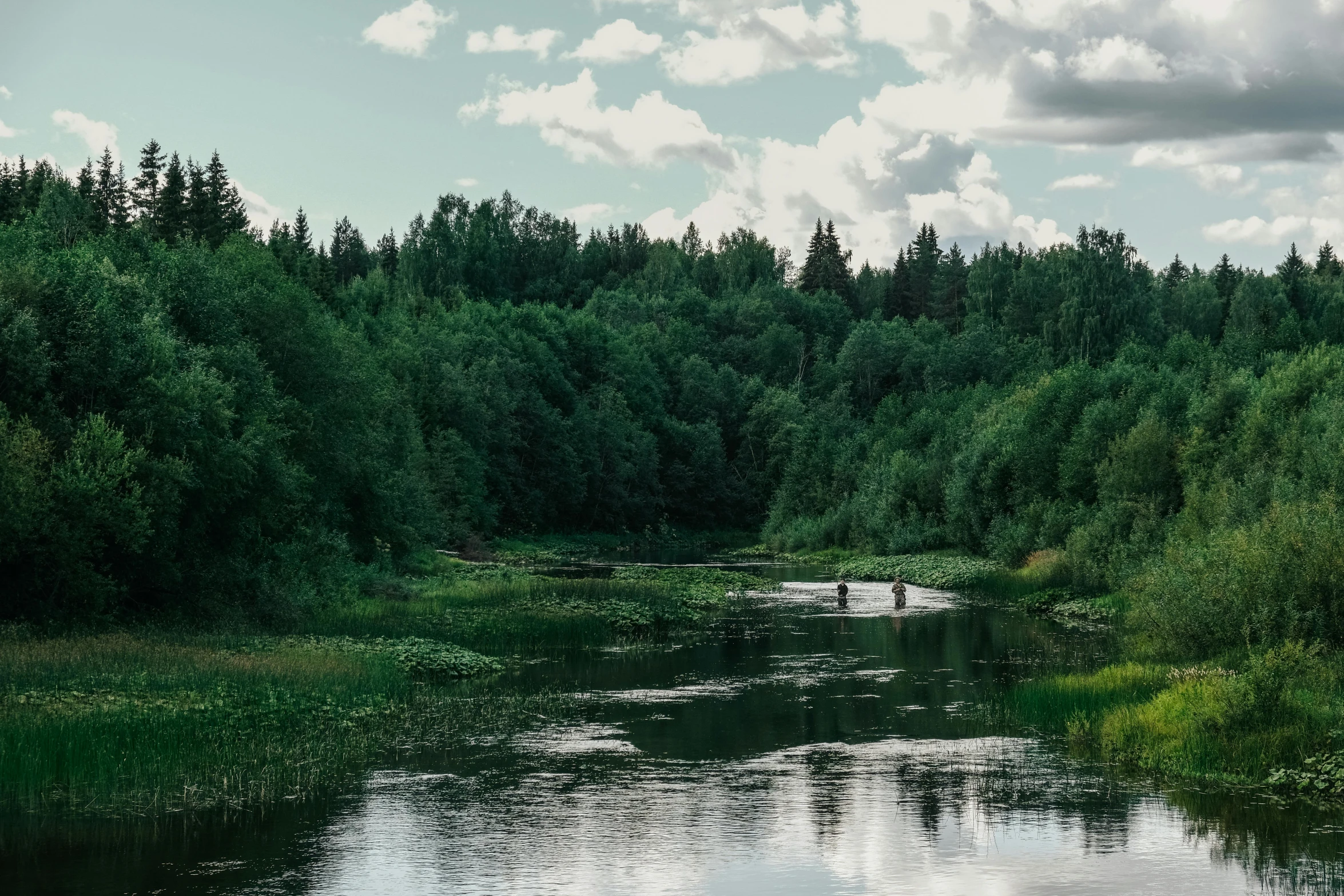 water with trees and clouds in the background