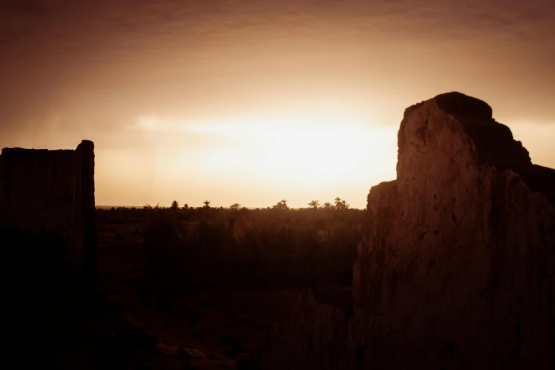 a close up s of a rock and the sun