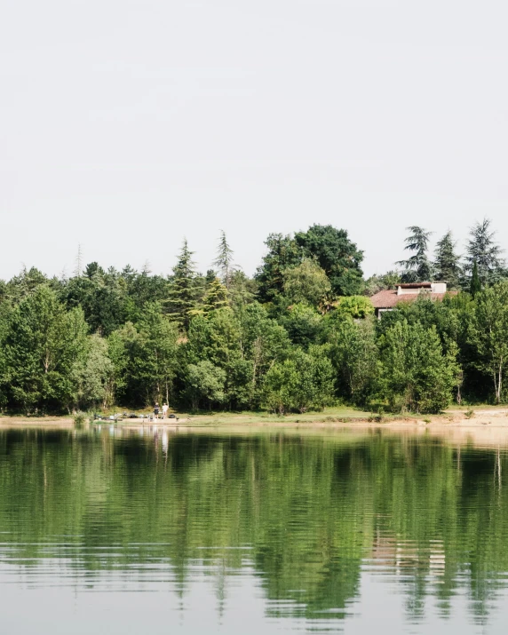 a clear body of water surrounded by trees