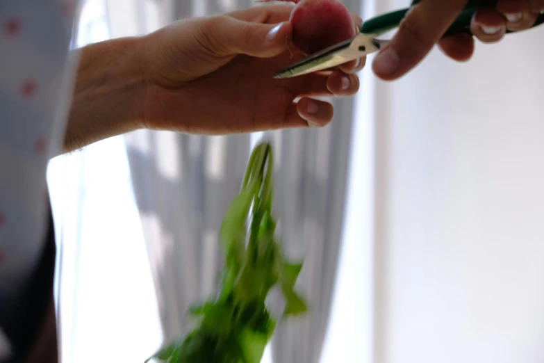 a pair of hands holding scissors  some green flowers