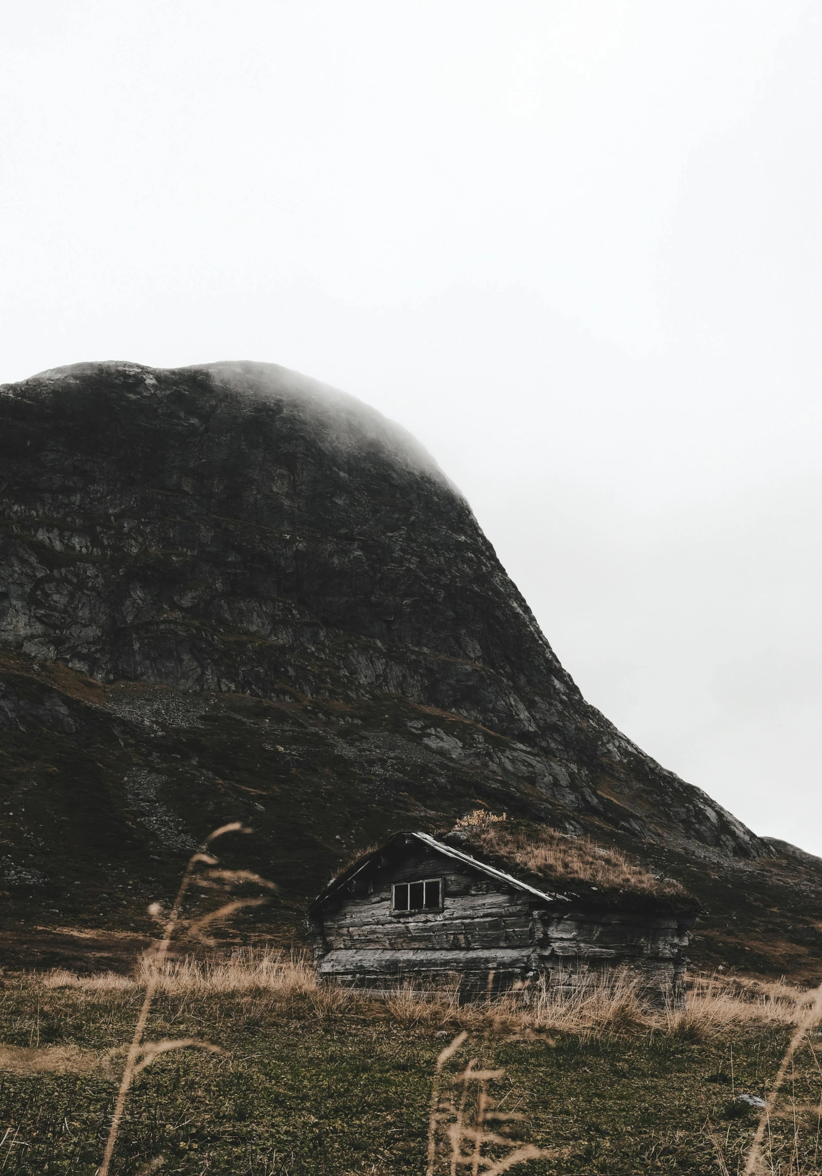 house in the mountain surrounded by tall grass