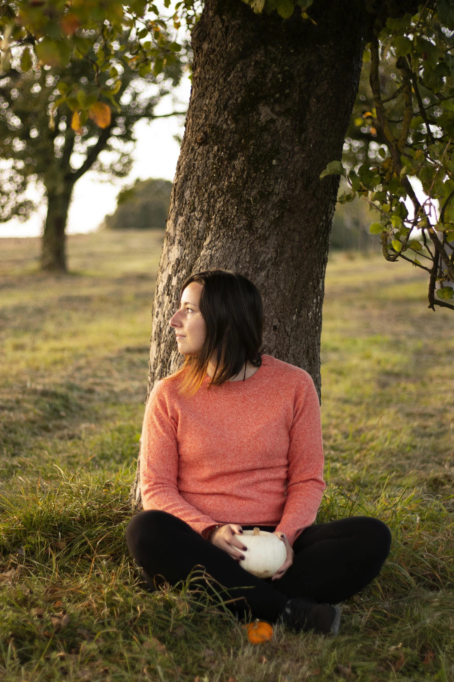 a woman is sitting in the grass next to a tree