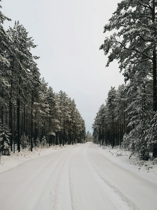 a road that has been completely cleared by snow