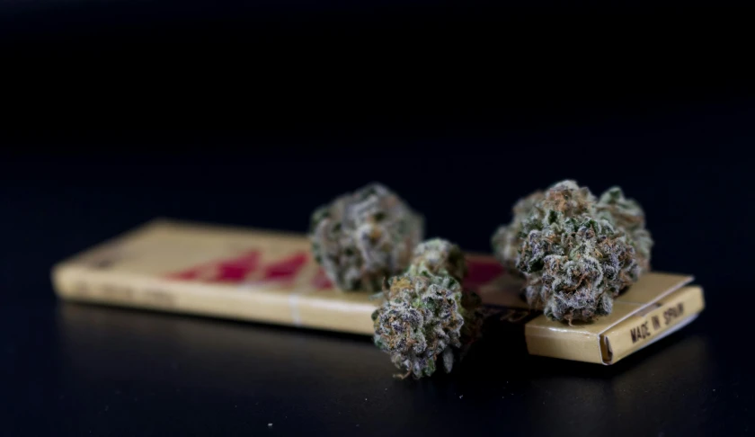 three cannabis buds on a small wood block
