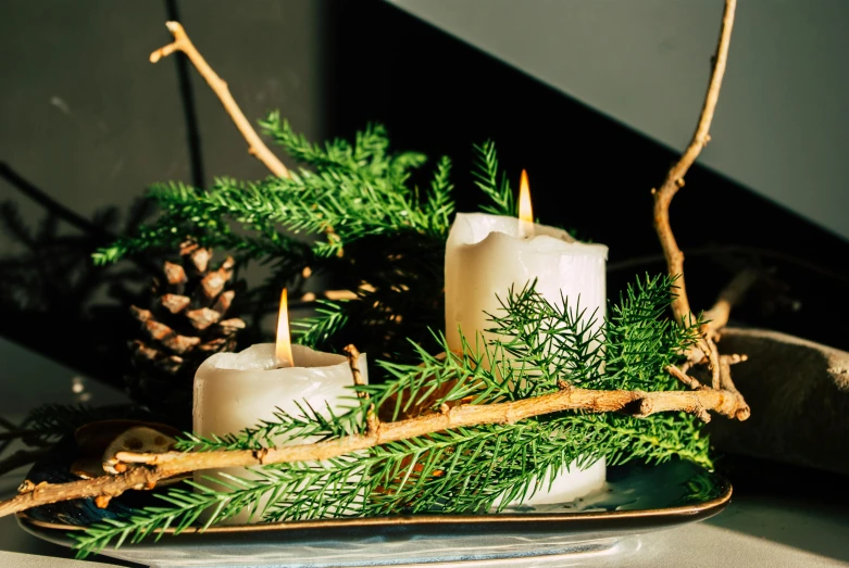 three candles are on a plate next to pine cones and nches