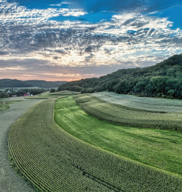 a dirt road runs along a grass field