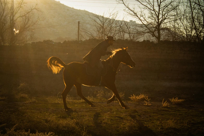 two people riding horses in the shadows of the sun