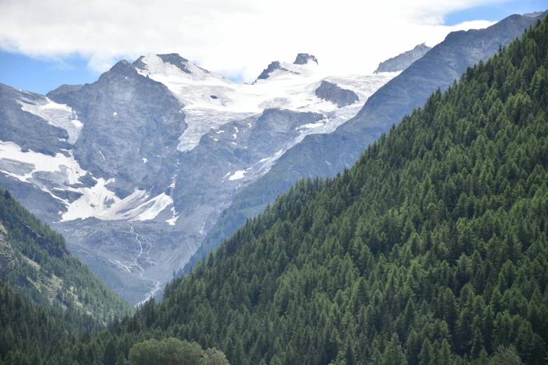 a green grassy field in front of tall snow capped mountains