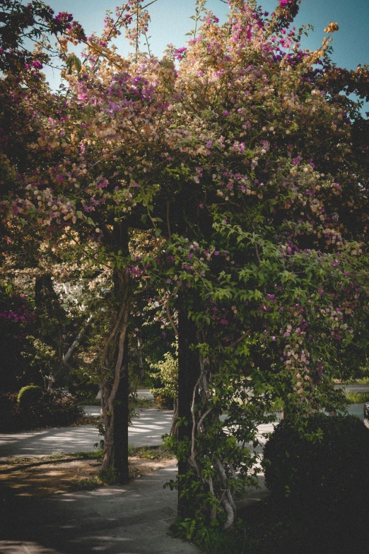 a bench in front of a tree near water