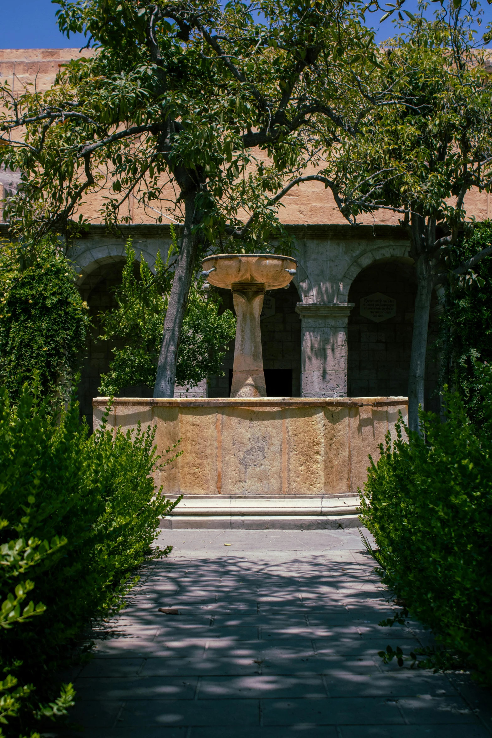 the fountain has many trees and shrubs around it