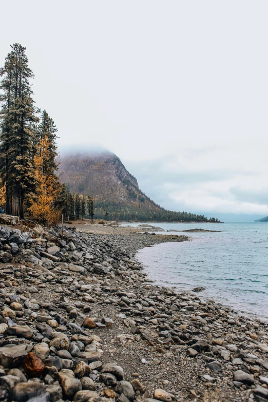 a beach covered with lots of rocks next to a forest