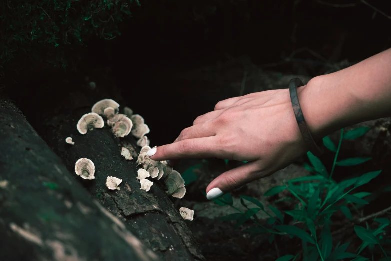 a hand that is holding some food on the ground