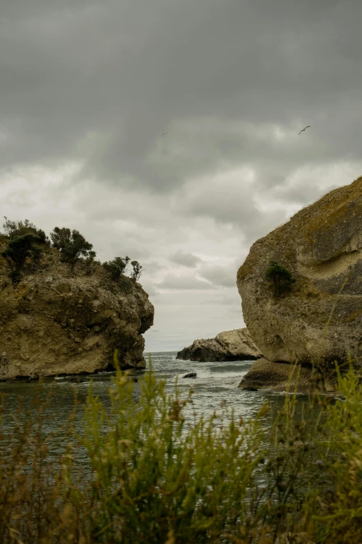 two large rocks with plants growing out of them