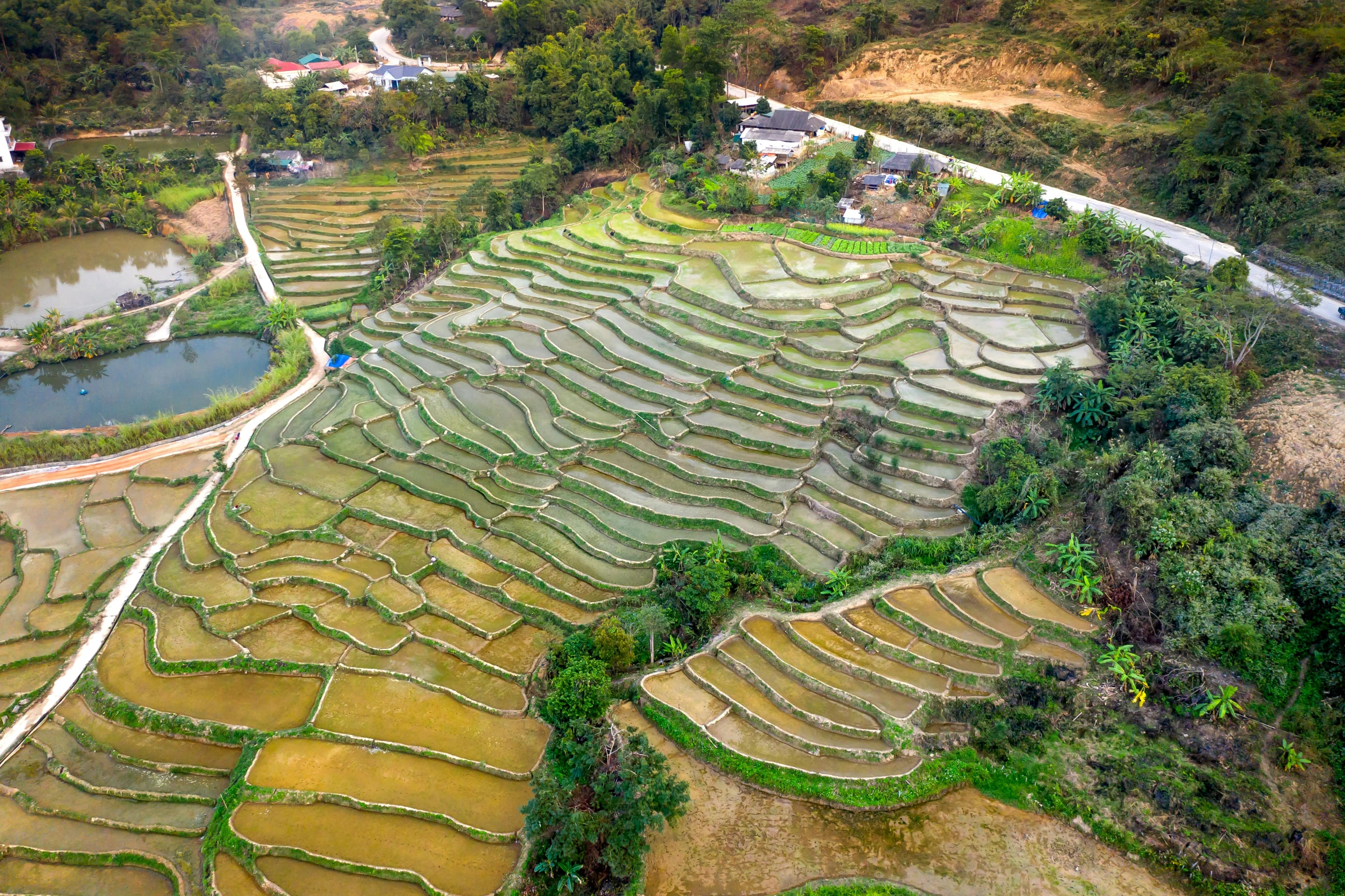 an aerial view of a mountain side rice field