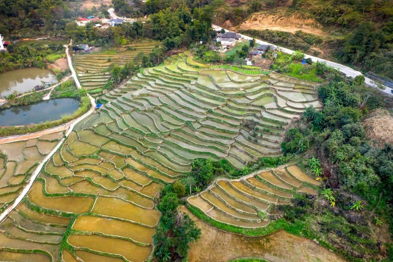 an aerial view of a mountain side rice field