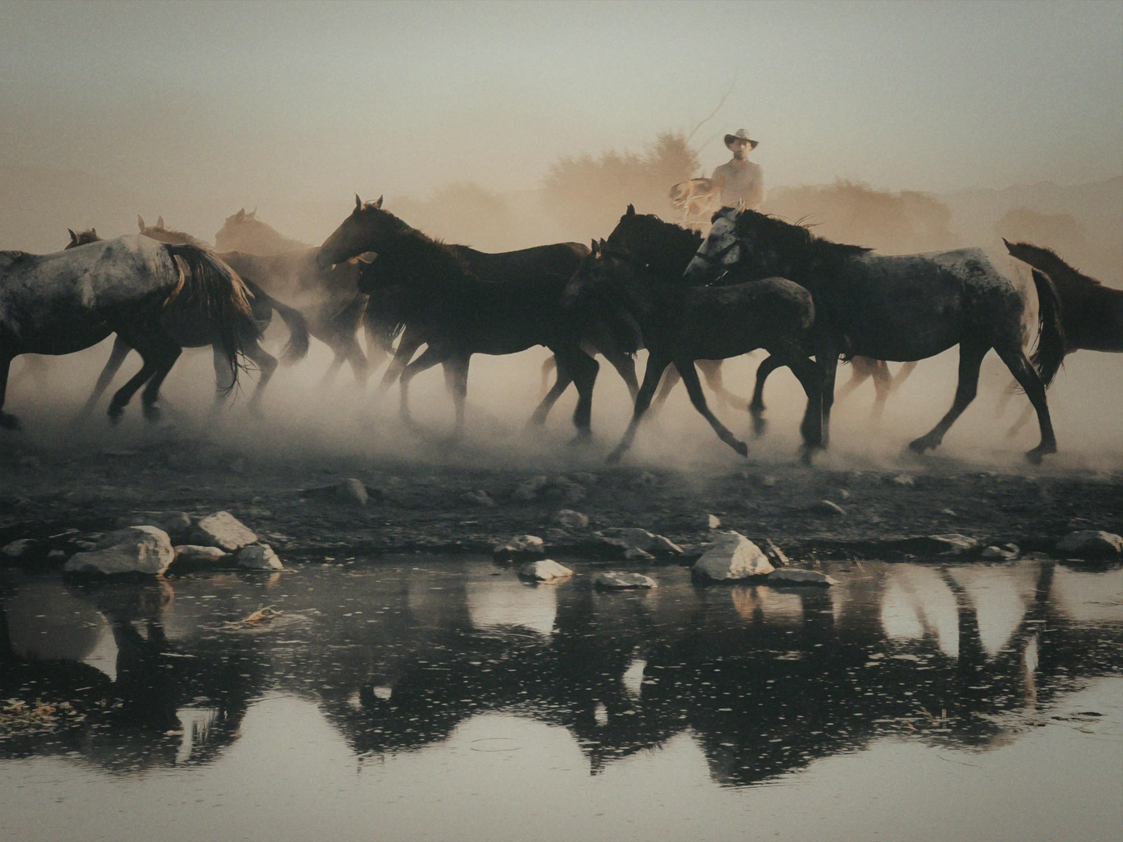 the horses are running through the dusty water