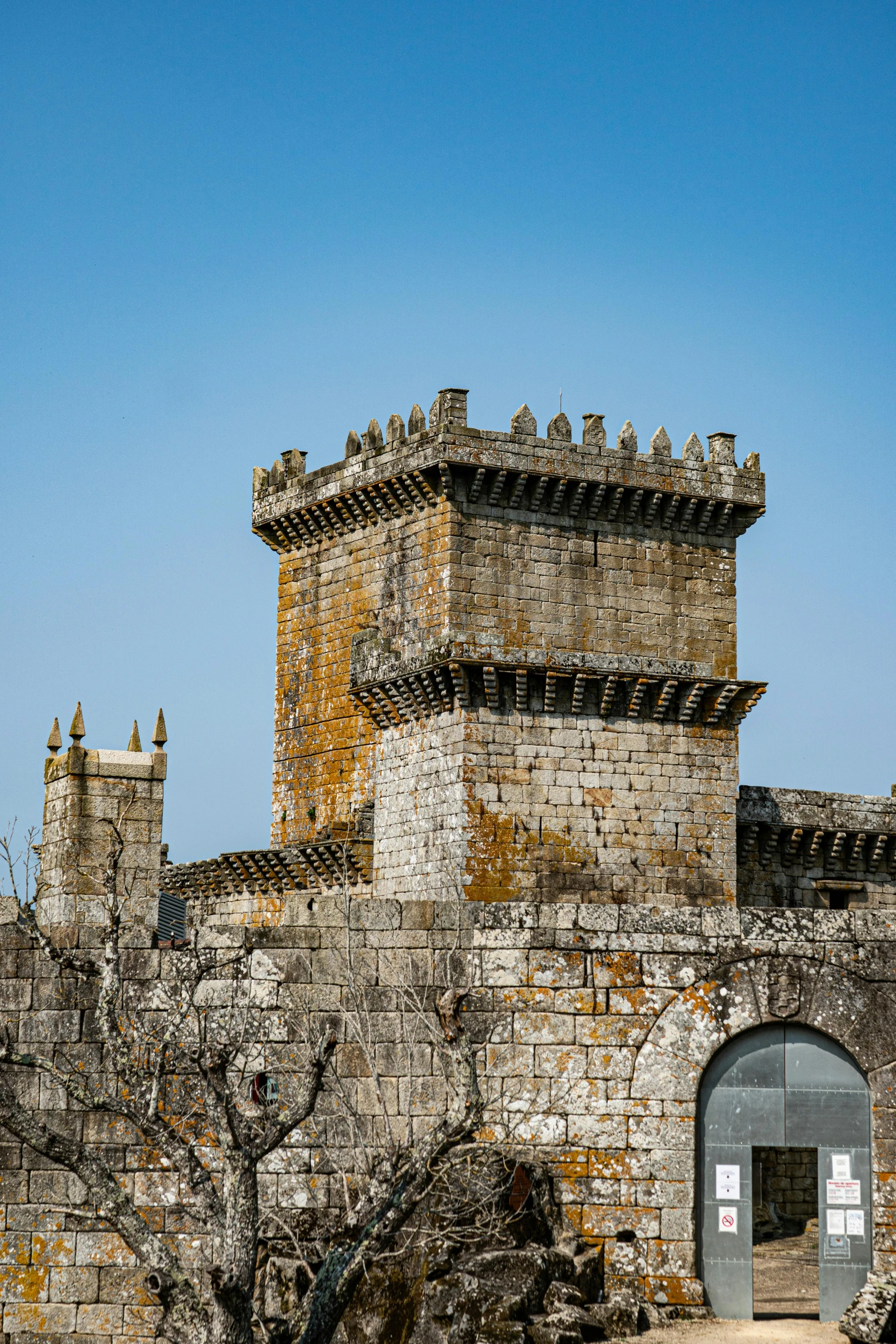 the castle wall has a door in front