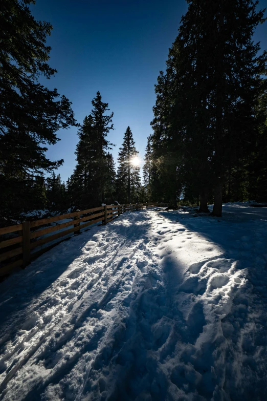 a snow covered path going through the woods in winter