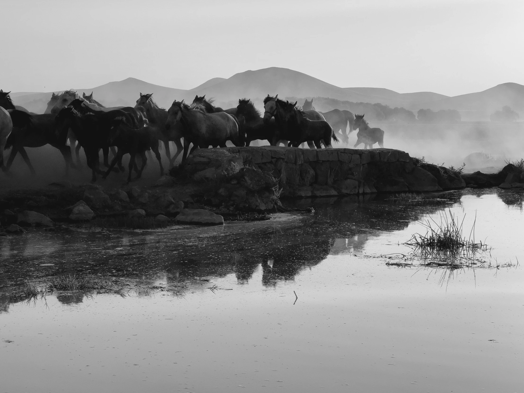 a herd of wild horses standing around water near mountains