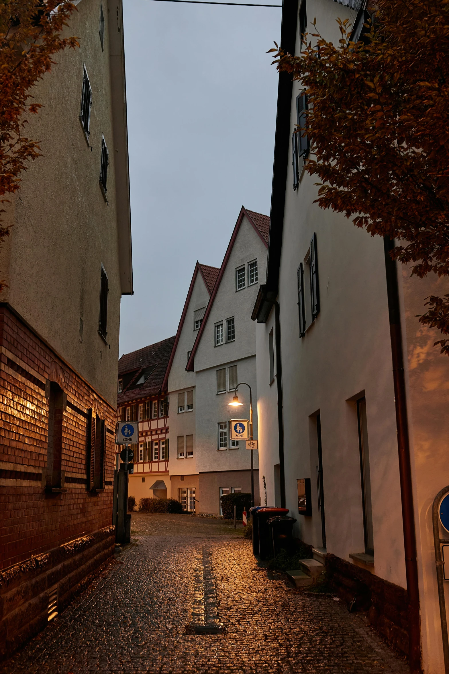 an alleyway with white houses and trees lining the street