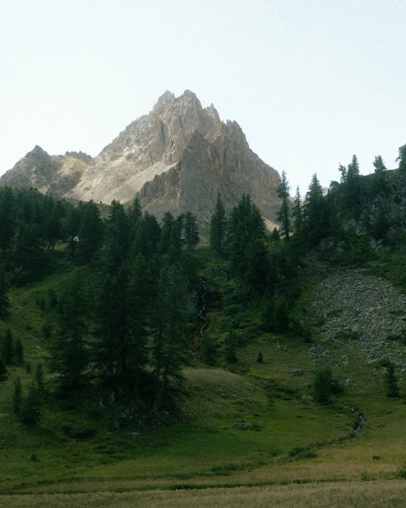 the mountains have many trees in their green grass