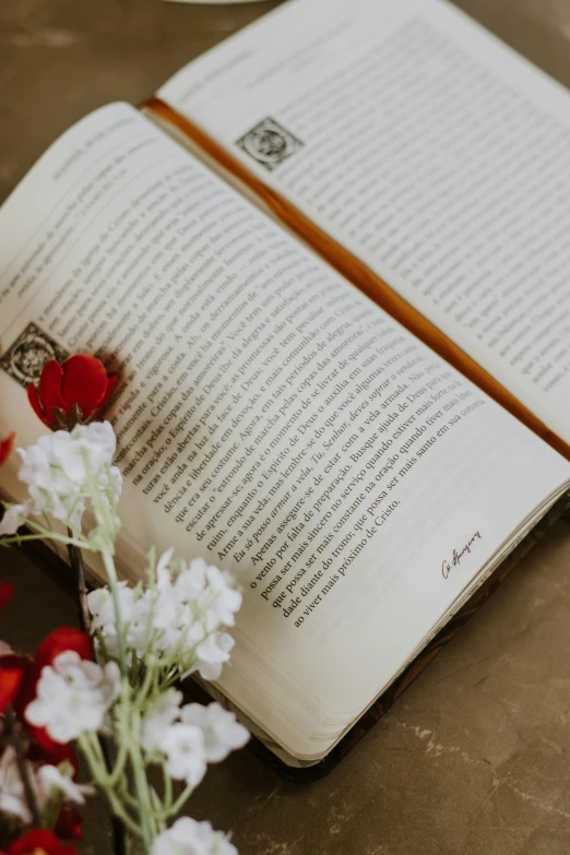 a flower sits on top of an open book