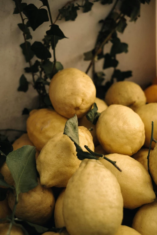 a pile of lemons with ivy on top