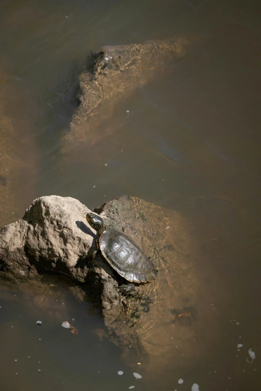 an old metal object sits on top of a rock in water