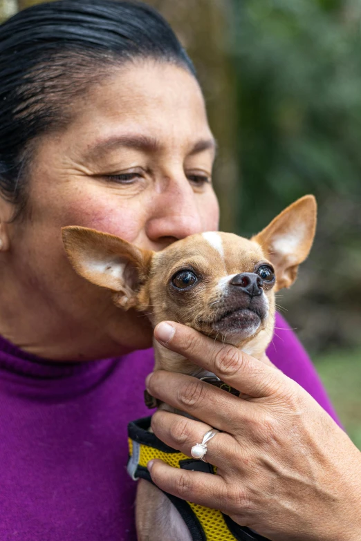 woman in purple shirt holding her small chihuahua