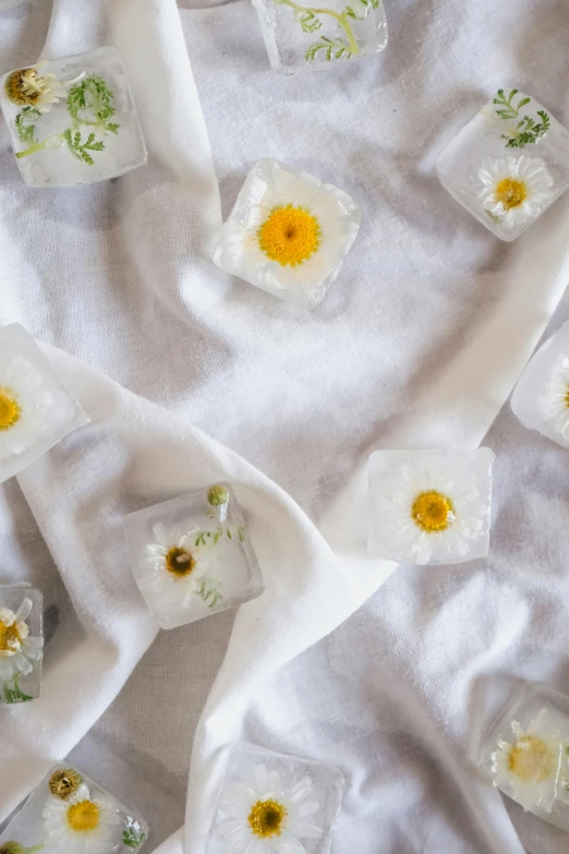 flowers of small square vases with tiny petals are on a white surface