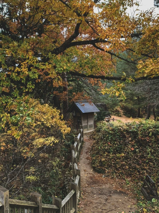 a path through the woods leading to a small cabin