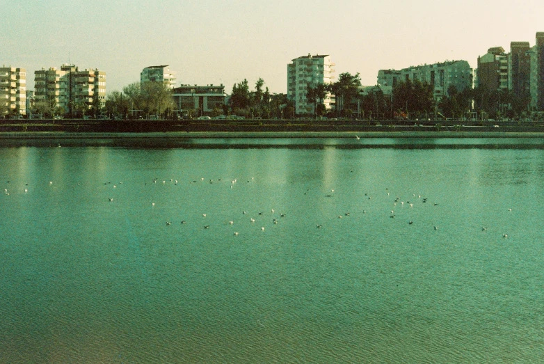 a lake is in front of many buildings