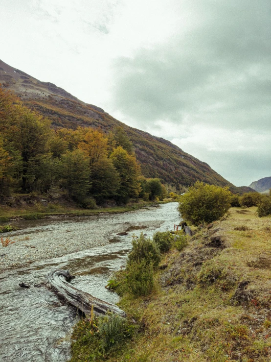 a river that is in a grass field