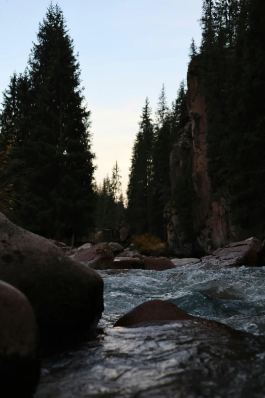 a small river flowing between rocks and trees