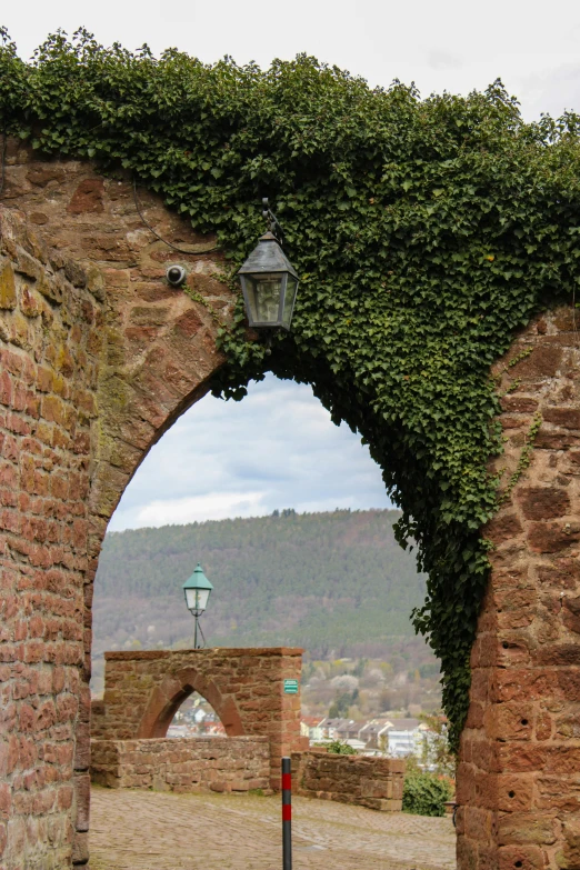 an archway in an old wall covered with vines and a lantern