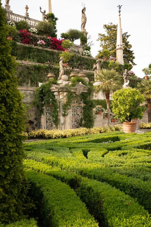 a maze in the park with lush green plants